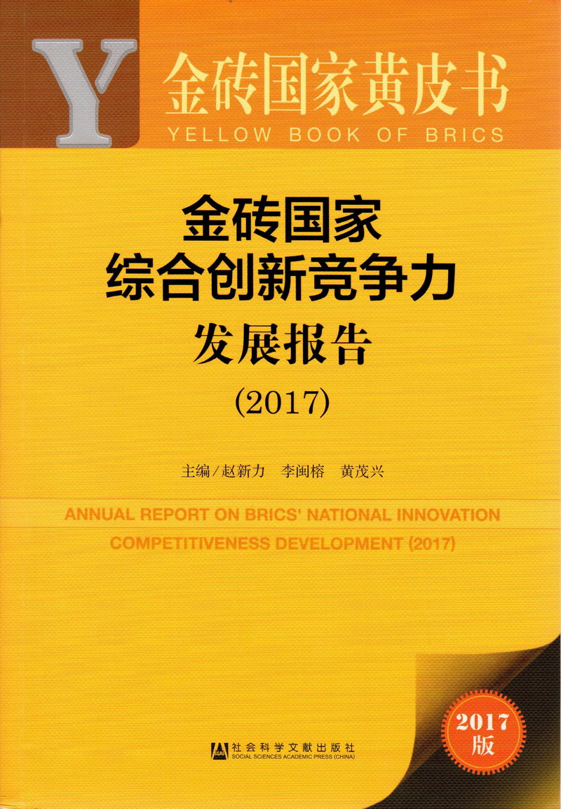 日本黑人狂插日韩嫩逼金砖国家综合创新竞争力发展报告（2017）